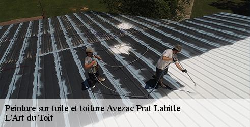 peinture-sur-tuile-et-toiture-l-art-du-toit-1