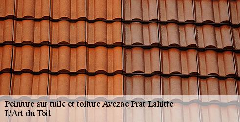 peinture-sur-tuile-et-toiture-l-art-du-toit-4