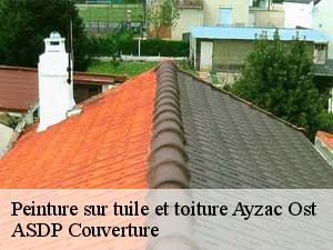 peinture-sur-tuile-et-toiture-asdp-couverture-7