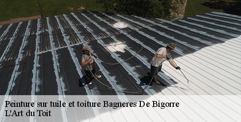 peinture-sur-tuile-et-toiture-l-art-du-toit-1
