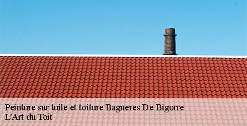 peinture-sur-tuile-et-toiture-l-art-du-toit-10