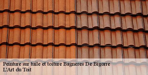 peinture-sur-tuile-et-toiture-l-art-du-toit-4