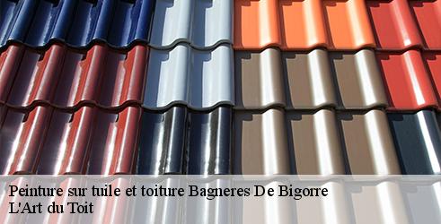 peinture-sur-tuile-et-toiture-l-art-du-toit-7