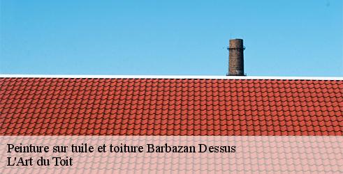peinture-sur-tuile-et-toiture-l-art-du-toit-10