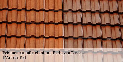 peinture-sur-tuile-et-toiture-l-art-du-toit-4