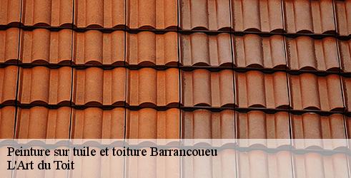 peinture-sur-tuile-et-toiture-l-art-du-toit-4