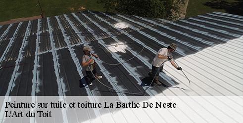 peinture-sur-tuile-et-toiture-l-art-du-toit-1