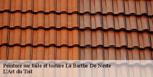 peinture-sur-tuile-et-toiture-l-art-du-toit-4