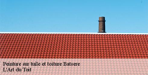 peinture-sur-tuile-et-toiture-l-art-du-toit-10