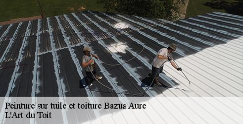 peinture-sur-tuile-et-toiture-l-art-du-toit-1