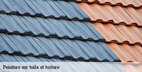 peinture-sur-tuile-et-toiture-l-art-du-toit-3