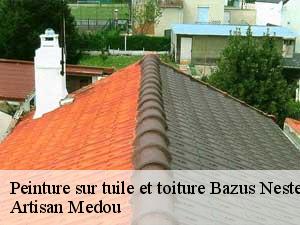 peinture-sur-tuile-et-toiture-artisan-medou-7