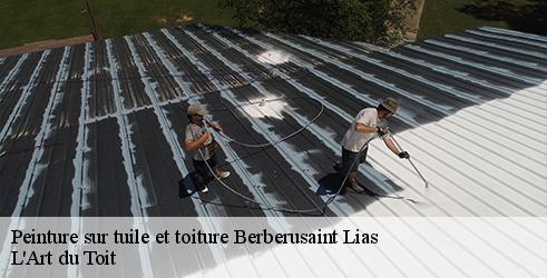 peinture-sur-tuile-et-toiture-l-art-du-toit-1