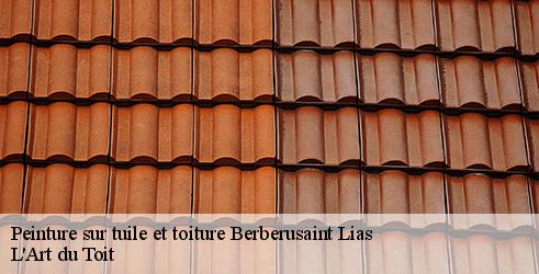 peinture-sur-tuile-et-toiture-l-art-du-toit-4