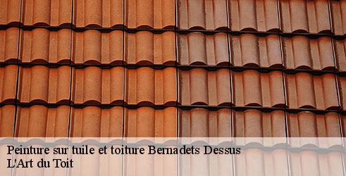peinture-sur-tuile-et-toiture-l-art-du-toit-4