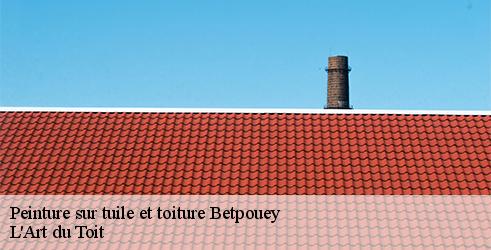 peinture-sur-tuile-et-toiture-l-art-du-toit-10