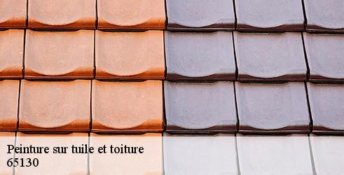 peinture-sur-tuile-et-toiture-l-art-du-toit-5