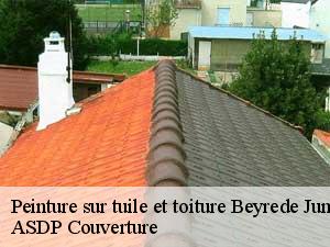 peinture-sur-tuile-et-toiture-asdp-couverture-7