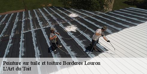 peinture-sur-tuile-et-toiture-l-art-du-toit-1