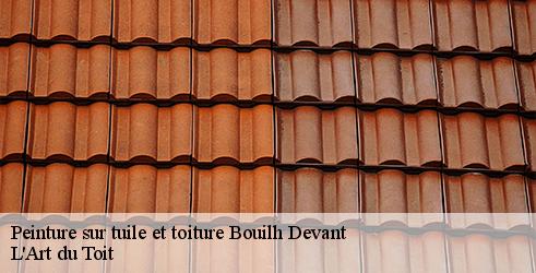 peinture-sur-tuile-et-toiture-l-art-du-toit-4