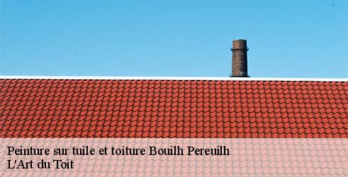 peinture-sur-tuile-et-toiture-l-art-du-toit-10
