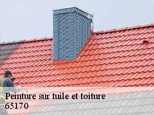 Peinture sur tuile et toiture  65170