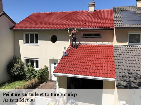 peinture-sur-tuile-et-toiture-artisan-medou-1