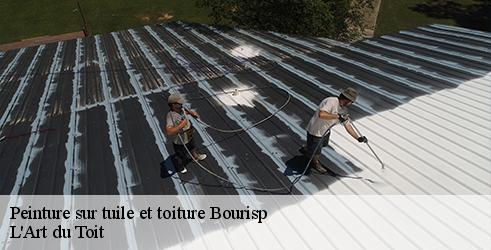 peinture-sur-tuile-et-toiture-l-art-du-toit-1