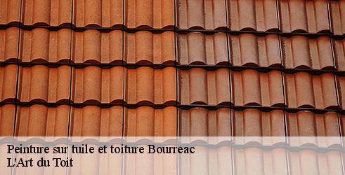 peinture-sur-tuile-et-toiture-l-art-du-toit-4
