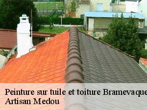 peinture-sur-tuile-et-toiture-artisan-medou-7