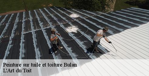 peinture-sur-tuile-et-toiture-l-art-du-toit-1