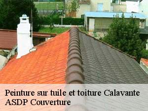 peinture-sur-tuile-et-toiture-asdp-couverture-7