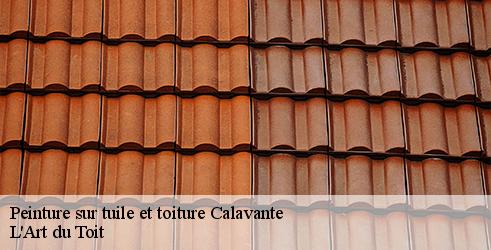 peinture-sur-tuile-et-toiture-l-art-du-toit-4
