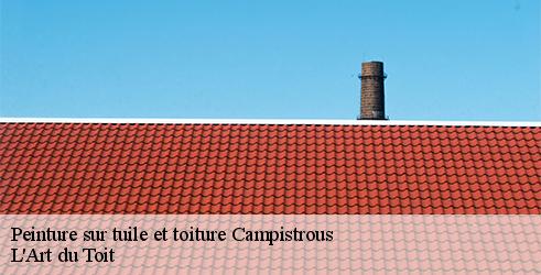 peinture-sur-tuile-et-toiture-l-art-du-toit-10