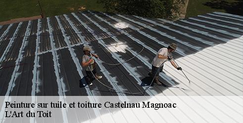 peinture-sur-tuile-et-toiture-l-art-du-toit-1