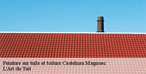 peinture-sur-tuile-et-toiture-l-art-du-toit-10