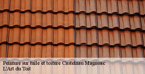 peinture-sur-tuile-et-toiture-l-art-du-toit-4