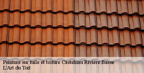 peinture-sur-tuile-et-toiture-l-art-du-toit-4
