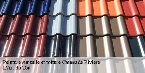 peinture-sur-tuile-et-toiture-l-art-du-toit-7