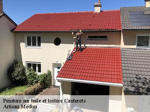 peinture-sur-tuile-et-toiture-artisan-medou-1