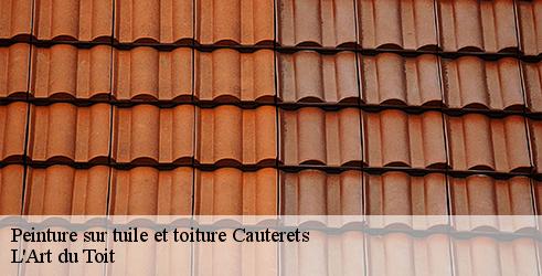 peinture-sur-tuile-et-toiture-l-art-du-toit-4