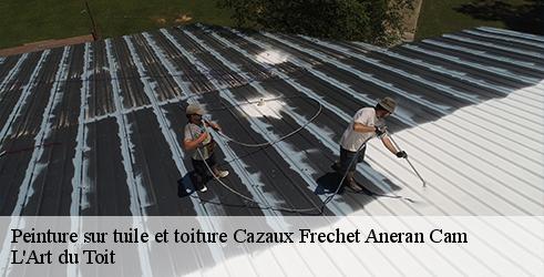 peinture-sur-tuile-et-toiture-l-art-du-toit-1