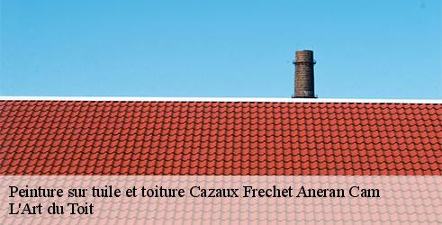 peinture-sur-tuile-et-toiture-l-art-du-toit-10