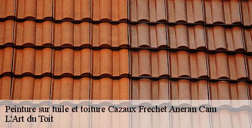 peinture-sur-tuile-et-toiture-l-art-du-toit-4
