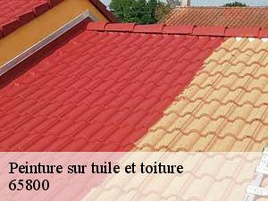 Peinture sur tuile et toiture