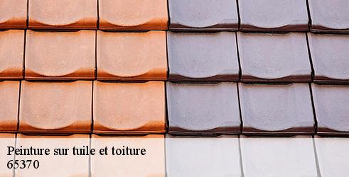 peinture-sur-tuile-et-toiture-l-art-du-toit-5