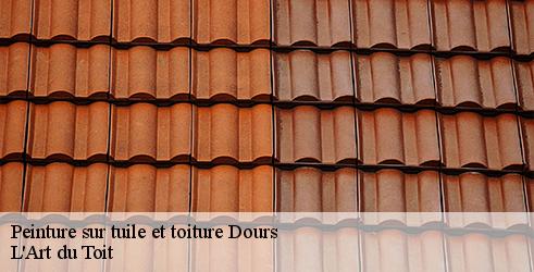 peinture-sur-tuile-et-toiture-l-art-du-toit-4