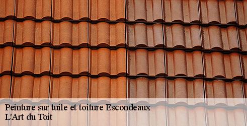 peinture-sur-tuile-et-toiture-l-art-du-toit-4