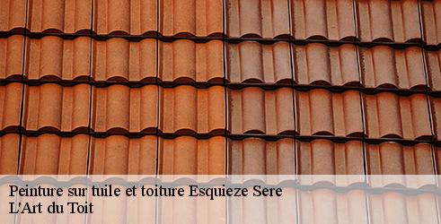peinture-sur-tuile-et-toiture-l-art-du-toit-4