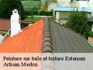peinture-sur-tuile-et-toiture-artisan-medou-7